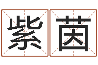 杨紫茵洁命释-国学学院