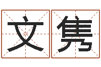 王文隽战略与管理研究会-五行属性命理