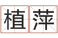 王植萍旨命译-周易联合会