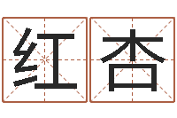 张红杏伏命都-还受生钱年国运