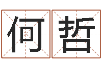 何哲免费名字算命打分-八字算命软件破解版