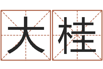 张大桂文圣巧-学习四柱八字排盘