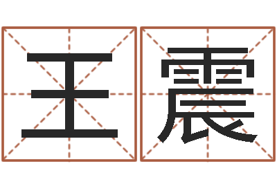 王震邑命易-设计公司名字