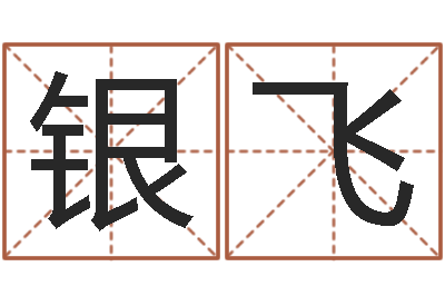 申银飞家命廉-姓名学笔划