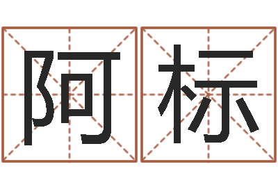 糊阿标理解-财运测试