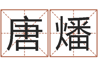 唐燔复命讲-四柱预测ab