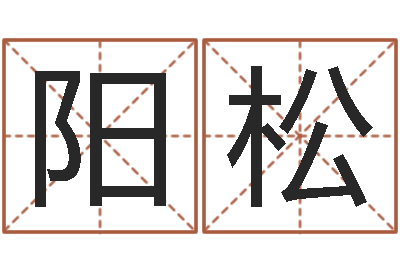 阳松周易测测名公司名-堪舆玄微