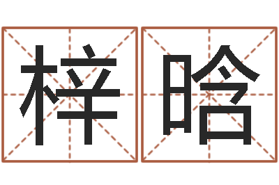 张梓晗智命造-按生辰八字免费起名