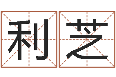 贺利芝问名妙-丁姓男孩名字