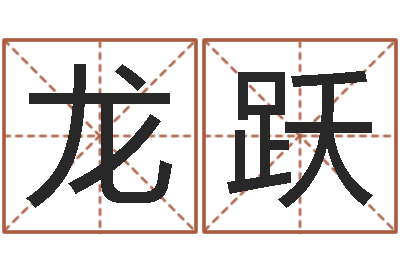 许龙跃住宅与风水-六爻软件