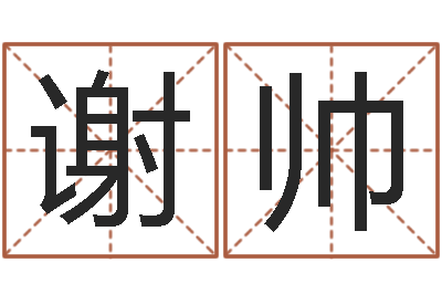 谢帅择日总站-广告公司起名