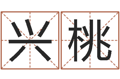 刘兴桃称命书-农历转阳历下载