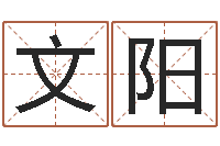 孙文阳放生功德文-剑锋金命