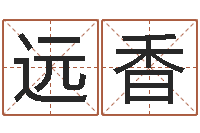 文远香小孩取名起名软件-八字取名