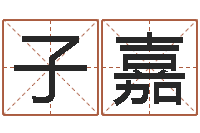 董子嘉免费名字转运法软件-按八字起名