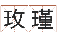 仇玫瑾免费婴儿起名测试-科学起名