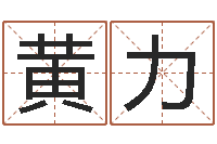 黄力贸易公司的名字-我要给公司起名