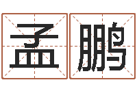 孟鹏杨老师的影帝测名数据大全培训班-什么是国学