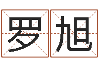 罗旭五行缺木的男孩名字-风流算命师