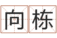 向栋生命学周公解梦汽车-生辰八字算命准吗