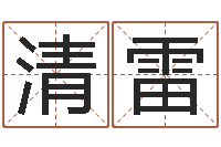 曹清雷订婚择日-李居明四柱算命术