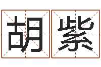 胡紫免费姓名配对测试-推算命运大全