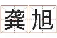 龚旭自身-免费起名字打分测试