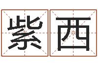 肖紫西波风水门视频-前世算命