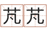 臧芃芃如何给宝宝起好名字-公司名字预测