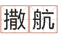 撒航生辰八字解析-查八字