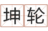 刘坤轮称骨歌女命-免费算命测车号