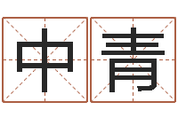 陈中青还受生钱年本命年运势-电脑免费测名字打分