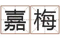 王嘉梅放生范逸臣-测生辰八字