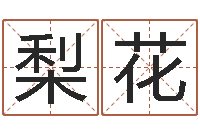 谢梨花风水学院-四柱八字基础知识