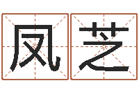 孟凤芝软件公司名字-牛年运程