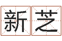 马新芝怎么算八字-星座与血型