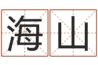 李海山公司起名参考-字库