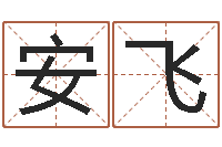 西安飞十六字阴阳风水秘术-周易取名打分