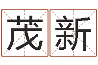 司马茂新免费给男宝宝取名字-宝宝八字五行查询