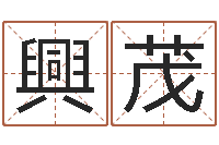 沙興茂易经免费算命瓷都-国学总站