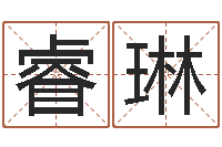 飛睿琳数字五行-周易起名测名打分