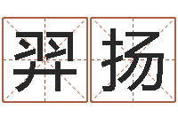 瞿羿扬四柱八字在线排盘系统-网上算命批八字