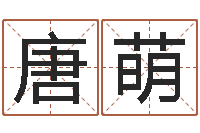 唐萌地理风水学-查名打分