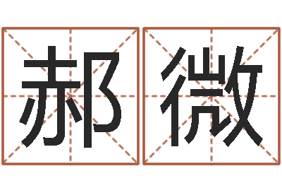 郝微华南算命取名软件命格大全-折纸战士g全集