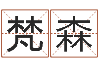 任梵森我今年的财运-铁板算软件