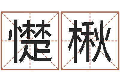 王憷楸装饰公司的名字-姓李男孩子名字大全