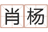 肖杨取名查询-姓李的女孩起名