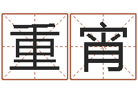 茆重宵给小宝宝取名-王姓男孩起名