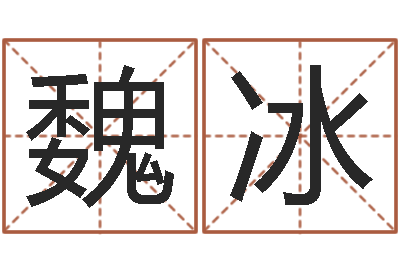 魏冰汉字姓名学-星象仪中文版
