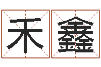 张禾鑫卜易居算名字-徐姓鼠年男宝宝取名